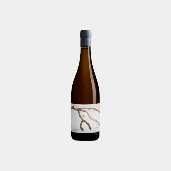 Venusa Bianco 2024