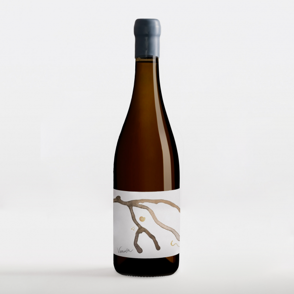 Venusa Bianco